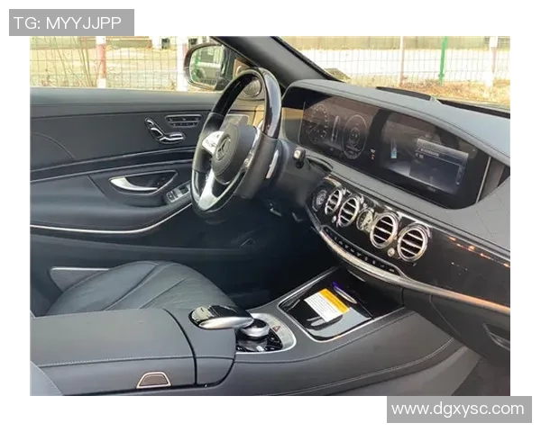 攀岩装备选购指南：精选滑板品牌与型号推荐解析